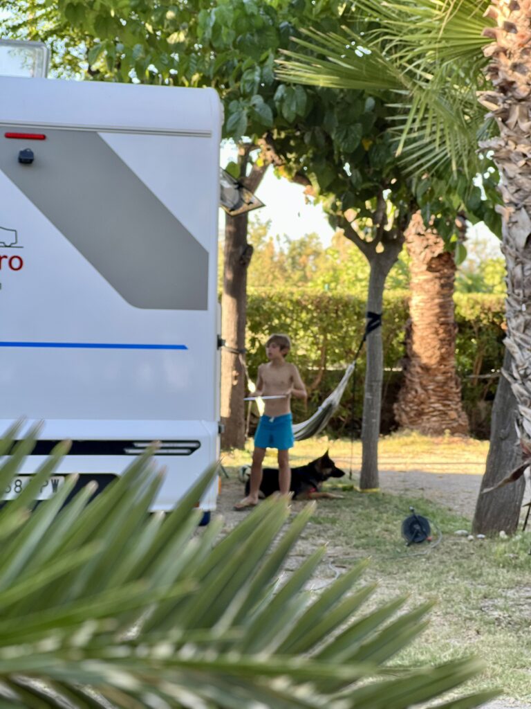 camping petfriendly bungalows